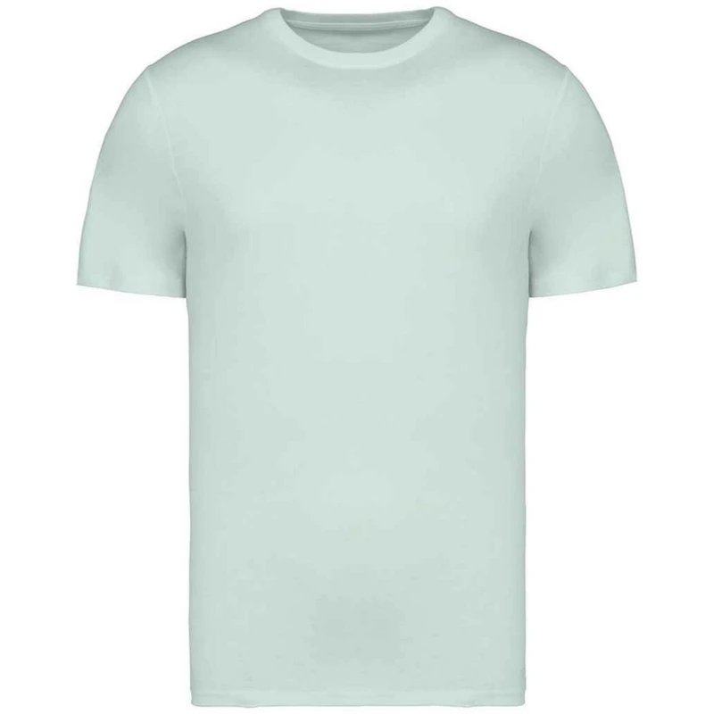 Image of Native Spirit Mens Heavyweight Slim T-Shirt in Light Green Size: XS Light Green Male XS