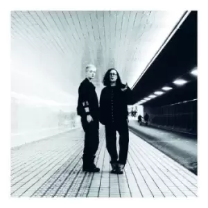 Image of We Came Here to Work by Miles Hunt & Erica Nockalls Vinyl Album