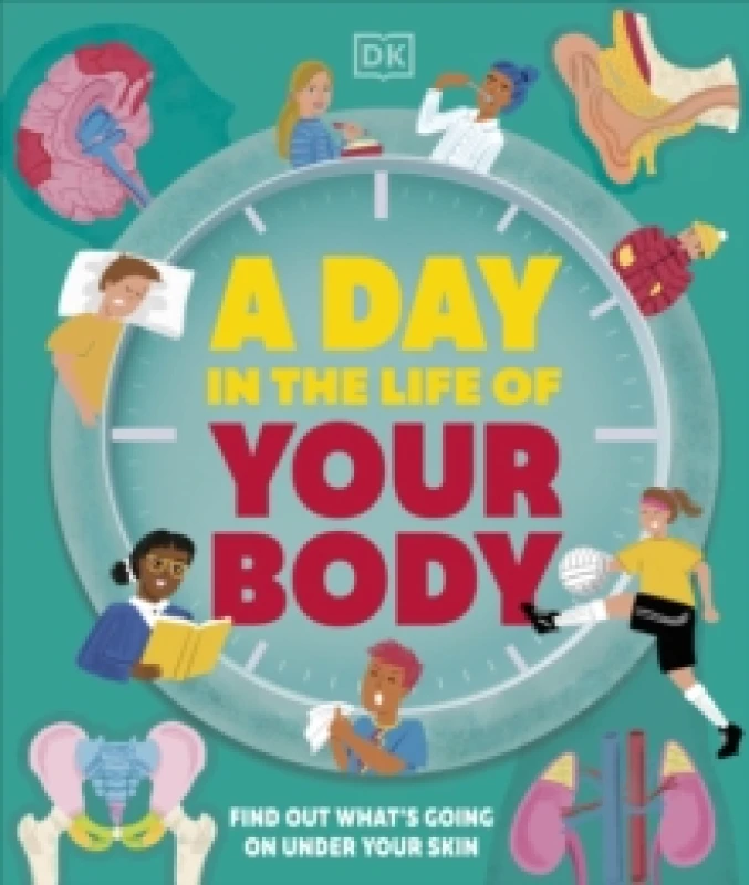 Image of A Day in the Life of Your Body : Find Out What's Going on Under Your Skin Hardback