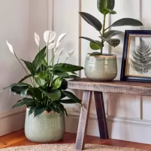 Image of Ivyline Pot Como Mint - H21Cm D26Cm