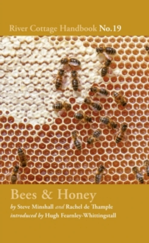 Image of Bees & Honey : River Cottage Handbook No. 19 Hardback