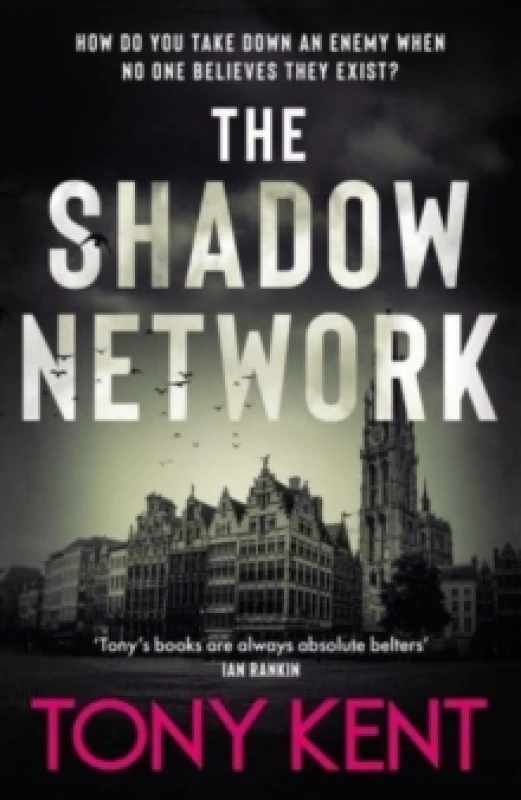 Image of The Shadow Network : The British Jack Reacher The Sunday Times (Dempsey/Devlin Book 5) Paperback / softback