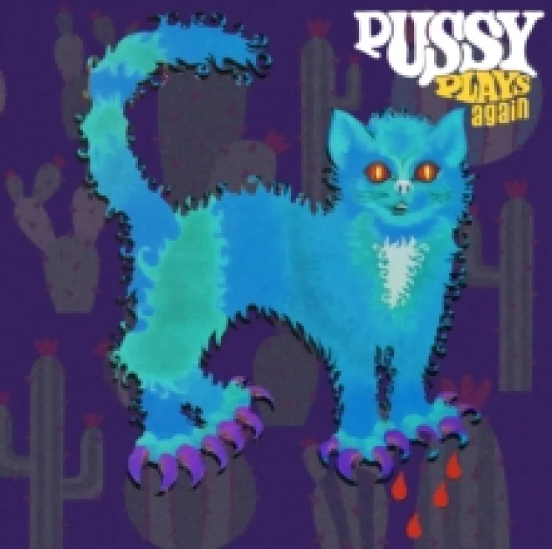 Image of Pussy plays again Vinyl