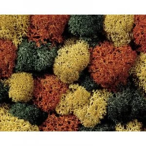 Image of NOCH 8620 Moss Autumn mix