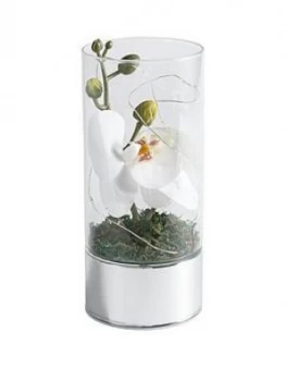 Image of Glass Tube With Artificial Flower And 6 LED Lights 20Cm