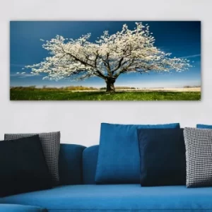 Image of YTY1233464_50120 Multicolor Decorative Canvas Painting