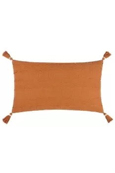 Image of Caliche Woven Textured Tasselled Polyester Filled Cushion