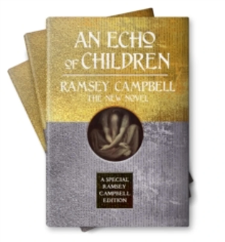 Image of An Echo of Children Hardback