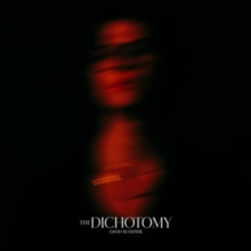 Image of The Dichotomy Vinyl
