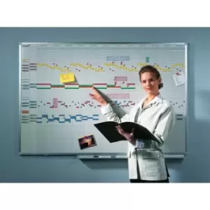 Image of Professional Year Planner 12 Months 100X150CM