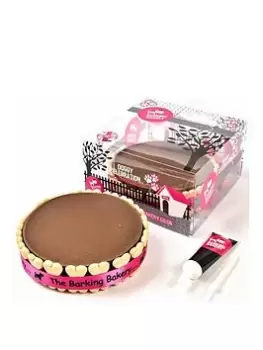 Image of Rosewood Nature's Best Small Pet Celebration Cake 235g