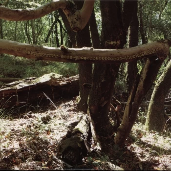 Image of rRope - We Are You There Vinyl