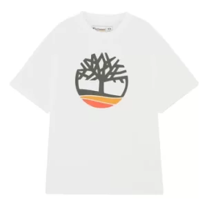 Image of Timberland Earthkeepers By Raeburn All Gender Logo T-Shirt In White White Men, Size XL