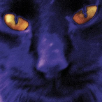 Image of David Kilgour And The Heavy Eights - Bobbie's A Girl Vinyl