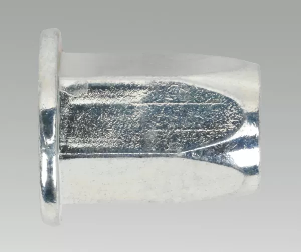 Image of Sealey TIFHM10 Threaded Insert (Rivet Nut) M10 Full Hex Standard Flange