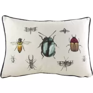 Image of Evans Lichfield Eden Insects Cushion Cover (One Size) (Multicoloured) - Multicoloured