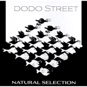 Image of Natural Selection by Dodo Street CD Album