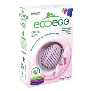 Image of Ecoegg Spring Blossom Dryer Egg