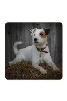 Image of Jack Russell Coaster Rural Roots Set 4