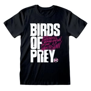 Image of Birds Of Prey - Logo Unisex XX-Large T-Shirt - Black