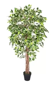 Image of Variegated Green Ficus Tree Artificial Plant with Twisted Trunk, 6 Ft