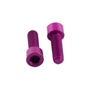 Image of ETC Alloy Bolts Coloured Cheese Head (4) M5 x 15mm Purple