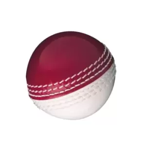 Image of Gunn And Moore and Moore Skills Ball - Red