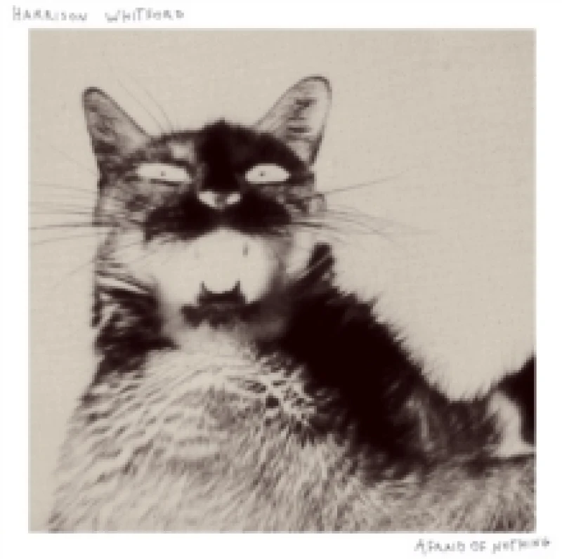 Image of Afraid of Nothing Vinyl