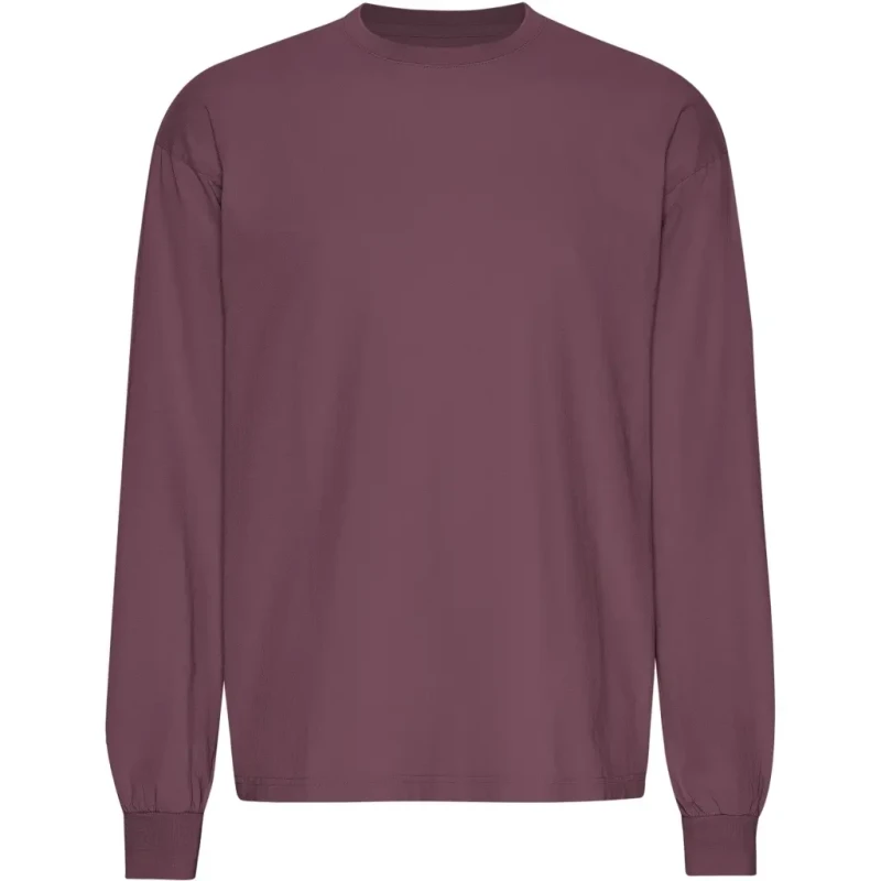 Image of Colorful Standard Oversized long-sleeve T-Shirt Colorful Standard Organic Dusty Plum Violet Unisex S