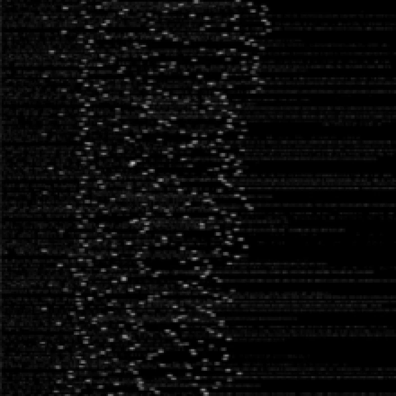 Image of System Fork CD / Album