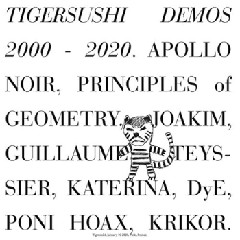 Image of Various Artists - Tigersushi Demos 2000-2020 Vinyl