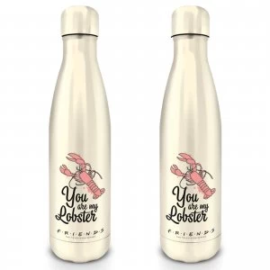 Image of Friends (You Are My Lobster) Metal Drinks Bottle