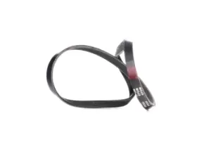 Image of RIDEX V-ribbed belt FORD,RENAULT,FIAT 305P0293 60551888,71739623,71749423 ADU7786,120576447,12576447,12576447,46411595,46448694,46456894,46537099