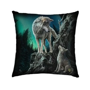 Image of Guidance Cushion