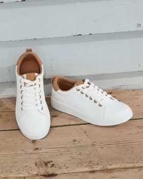 Image of Cotton Traders Womens Lace-Up Trainers in White