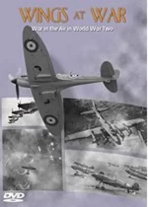 Image of Wings at War: War in the Air in WWII