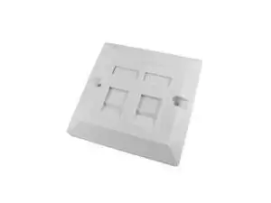 Image of Single Cat5e Faceplate w/Double Module