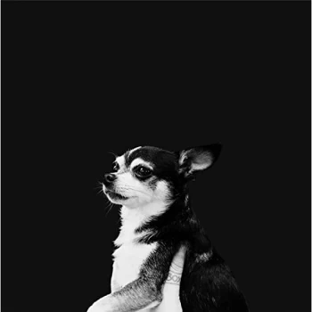 Image of And The Kids - When This Life Is Over CD