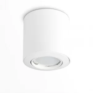 Image of Surface Non-Fire Rated Mounted Tiltable Downlight in White