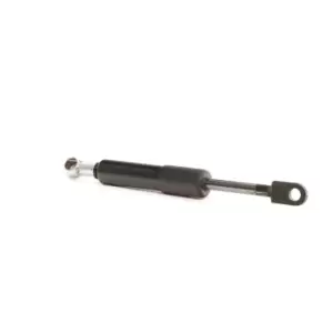 Image of RIDEX Gas Spring, rear window 2454G0006 BMW,5 Touring (E34)