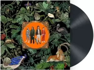 Image of Don Broco Amazing things LP black