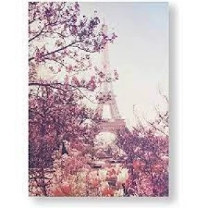Image of Art For The Home Paris In Bloom 50 x 70cm Cotton Canvas