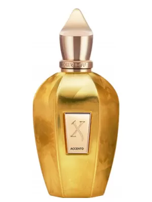 Image of Xerjoff Accento Overdose Eau de Parfum Unisex 100ml
