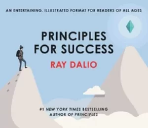 Image of principles for success