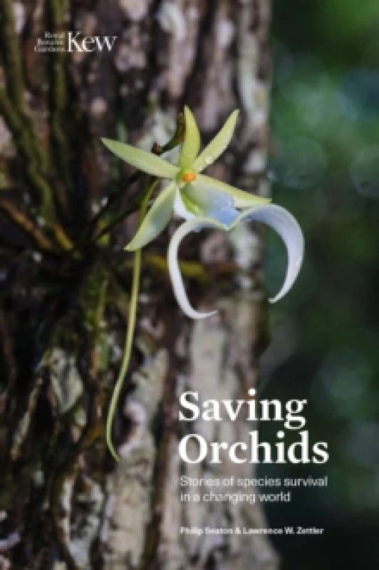 Image of Saving Orchids : Stories of species survival in a changing world Hardback