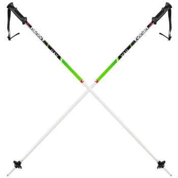 Image of Nevica Vail Ski Poles Juniors - White/Green