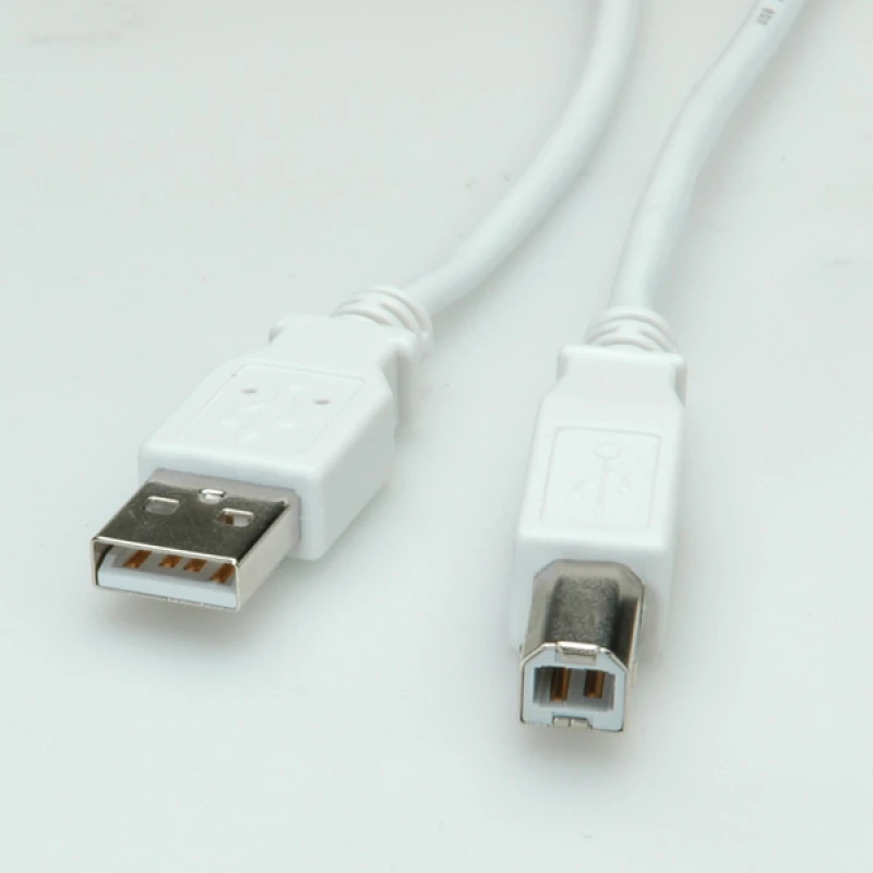 Image of VALUE USB 2.0 Cable. A - B. M/M 4.5 m