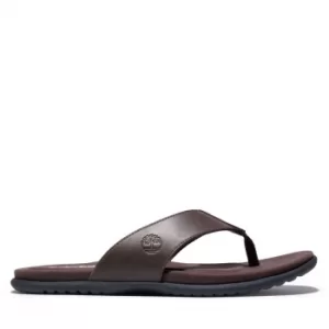 Image of Timberland Kesler Cove Toe-bar Sandal For Men In Dark Brown Dark Brown, Size 9.5