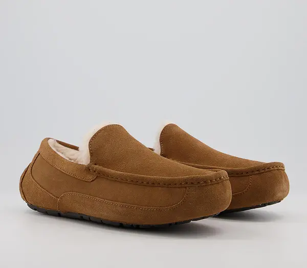 Image of UGG Mens Ascot Slippers Chestnut In Tan, 8
