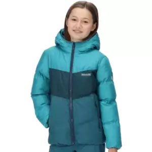 Image of Regatta Girls Lofthouse VI Hooded Padded Coat 9-10 Years - Chest 69-73cm (Height 135-140cm)